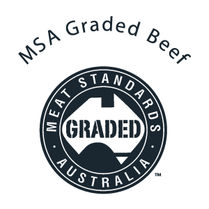 logo-msa